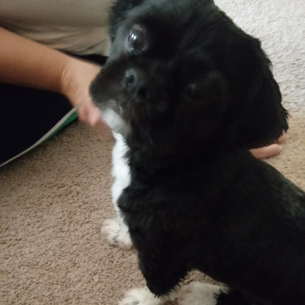 Meet your Posher, Quinn